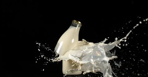 Bottle of Milk Exploding against Black Background Stock Photos