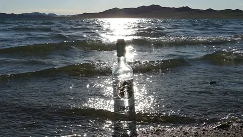 A bottle of Mongolian vodka at the beach on the background of slow waves. Stock-Footage 79686874