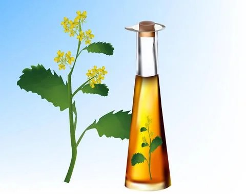 Bottle for mustard oil Stock Illustration