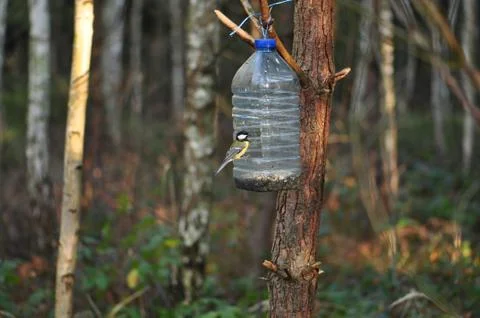Bottle nest box. Stock Photos