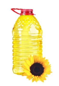 Bottle oil plastic big and sunflower on white background 写真素材