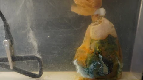 Bottle opener cleaned in electrolytic bath. Mineral deposits collect on anode Stock Footage 319474846