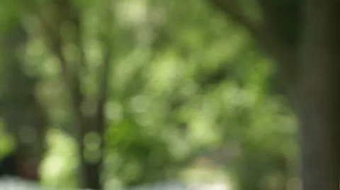 Bottle Opening Stock Footage 22774354