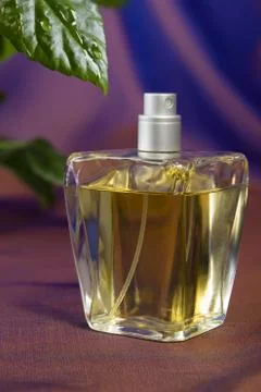 Bottle of perfume Stock Photos