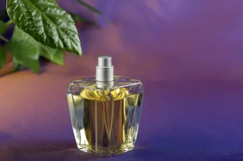 Bottle of perfume Stock Photos
