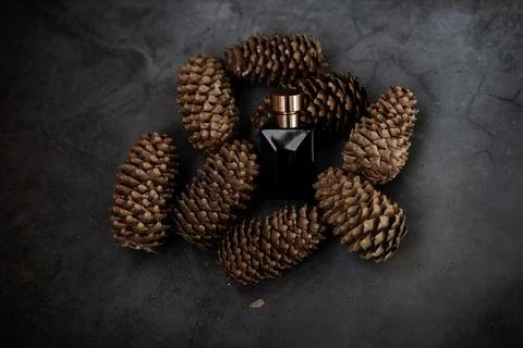 Bottle of perfume Stock Photos