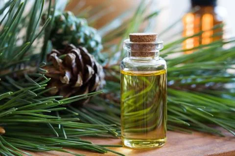A bottle of pine essential oil with pine twigs Stock Photos