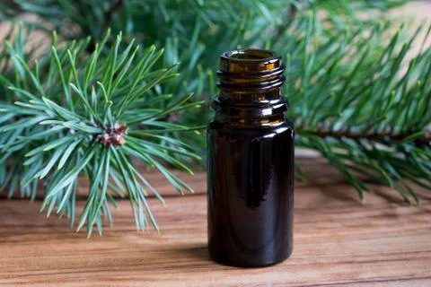 A bottle of pine essential oil with pine twigs Stock Photos