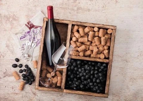 Bottle of red wine and empty glass with dark grapes with corks and opener Stock Photos