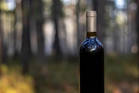 Bottle of red wine on a forest background. Stock Photos