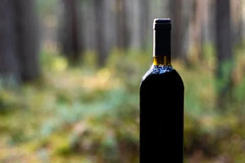 Bottle of red wine on a forest background. Stock Photos