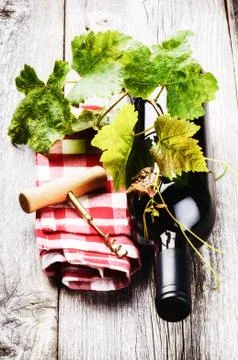 Bottle of red wine with grapevine Stock Photos