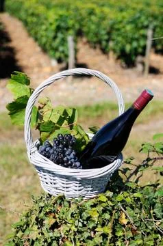 Bottle of red wine Stock Photos