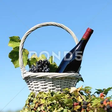 Bottle of red wine Stock Photos