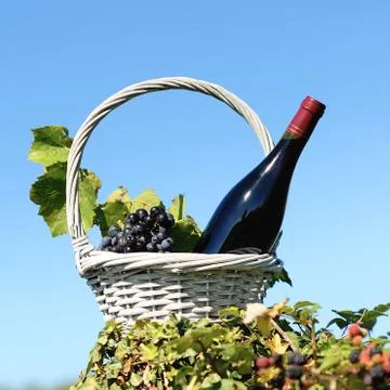 Bottle of red wine Foto stock