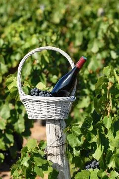 Bottle of red wine Foto stock