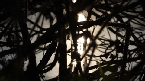 Bottle in the river3 Stock Footage 5166063
