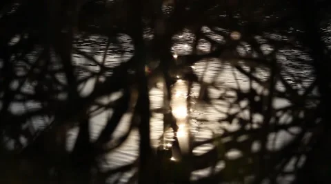 Bottle in the river4 Stock Footage 5166016