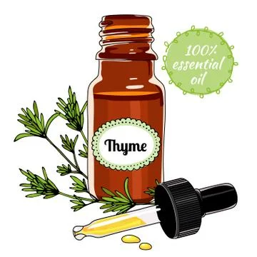 Bottle of Thyme essential oil with dropper. Stock Illustration