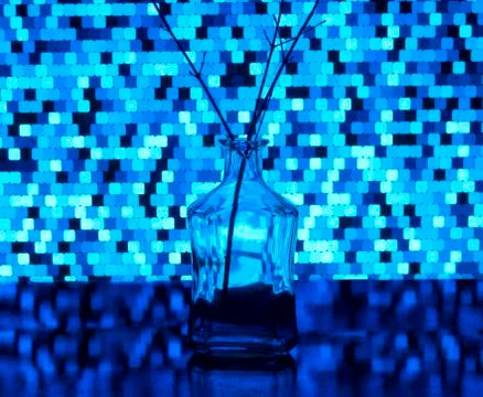 Bottle transparent and inserted twig Foto stock