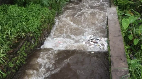 Bottle trash in the river Stock Footage 272911251