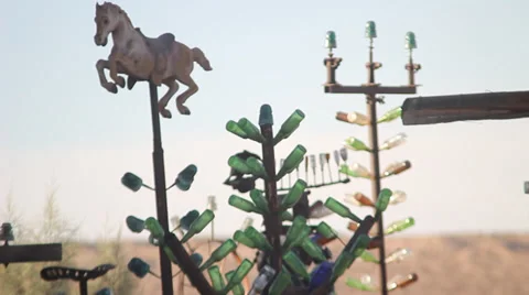 Bottle Tree Stock Footage 33047295