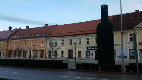 Bottle tree in Ormoz Video stock 121157332