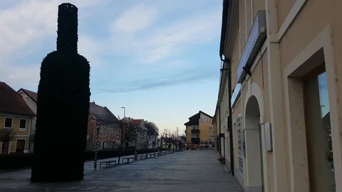 Bottle tree in Ormoz Video stock 121157338