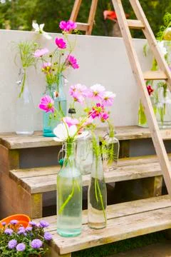 Bottle vases 写真素材