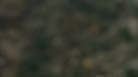 Bottle wall 2 Stock Footage 30445503