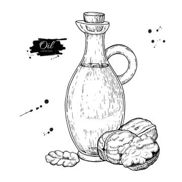 Bottle of walnut oil. Vector Hand drawn illustration. Glass pitcher vintage Stock Illustration