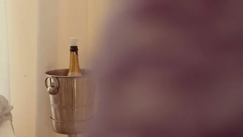 Bottle of wine on a bucket in HD Stock-Footage 153339892