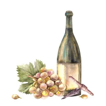 Bottle of wine with bunch of grapes, grapevine, corkscrew. Watercolour hand Ilustração Stock