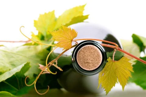 Bottle of wine corc cap grape leaves branch Stock Photos