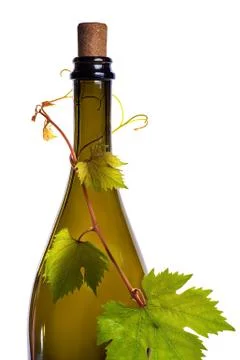 Bottle of wine corc cap grape leaves Stock Photos