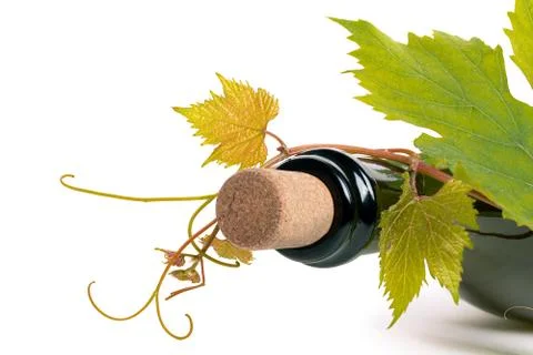 Bottle of wine corc cap grape leaves branch Stock Photos