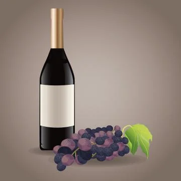 Bottle wine grape drink image Stock Illustration
