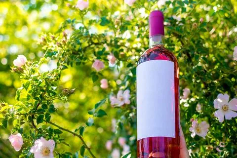 Bottle of wine in hands Stock Photos