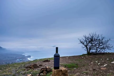 Bottle of wine in the mountains Stock Photos