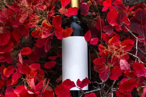 A bottle of wine in the mountains Stock Photos