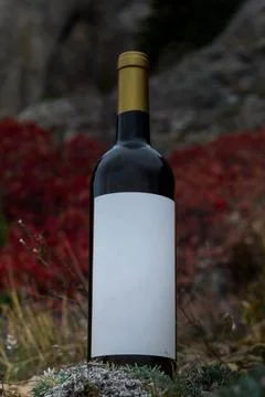 A bottle of wine in the mountains Stock Photos