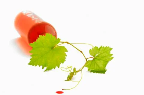 Bottle of wine Stock Photos