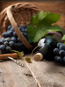 Bottle of wine Stock Photos