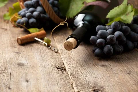 Bottle of wine Stock Photos