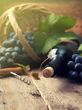 Bottle of wine Stock Photos