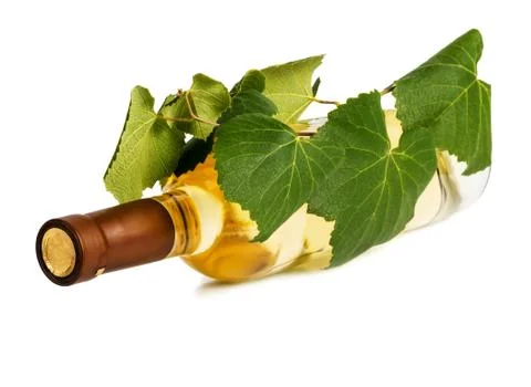 A bottle of wine with a vine Stock Photos
