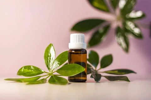 A bottle without an oil label. Transparent glass bottle on a beige-pink backg Stock Photos