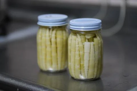 Bottled bent bamboo Stock Photos