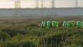 Bottled Green Energy for the Future HD Footage