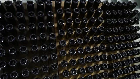 Bottled wine in the wine cellar Stock Footage 311754422